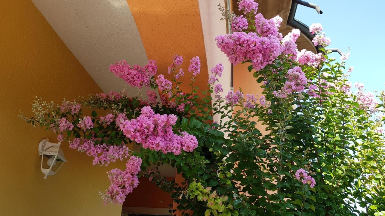 דסנזאנו דל גארדה B&B Villa Giulia מראה חיצוני תמונה