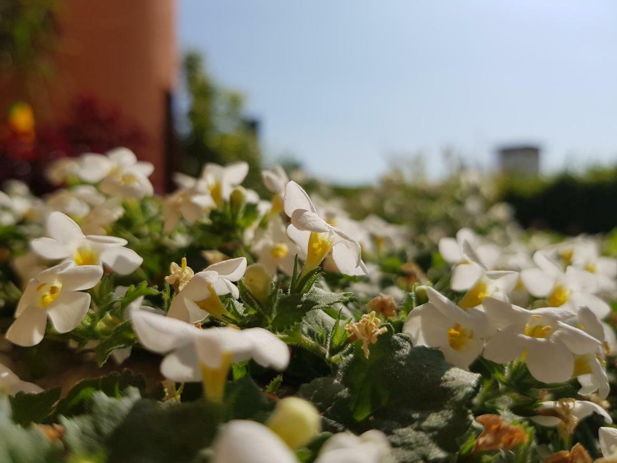 דסנזאנו דל גארדה B&B Villa Giulia מראה חיצוני תמונה